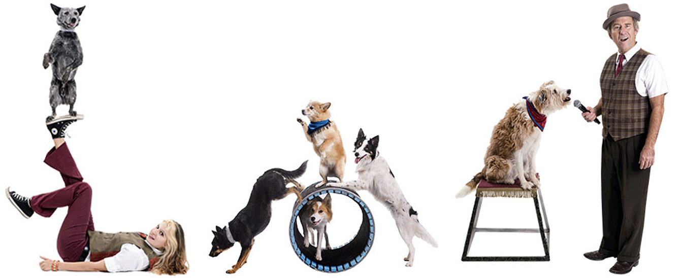 ‘Mutts Gone Nuts’ Variety Show Unleashes Canines and Comedy to Promote