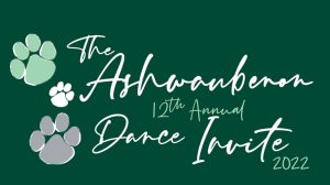 ashwaubenon-12th-annual-dance-invitational